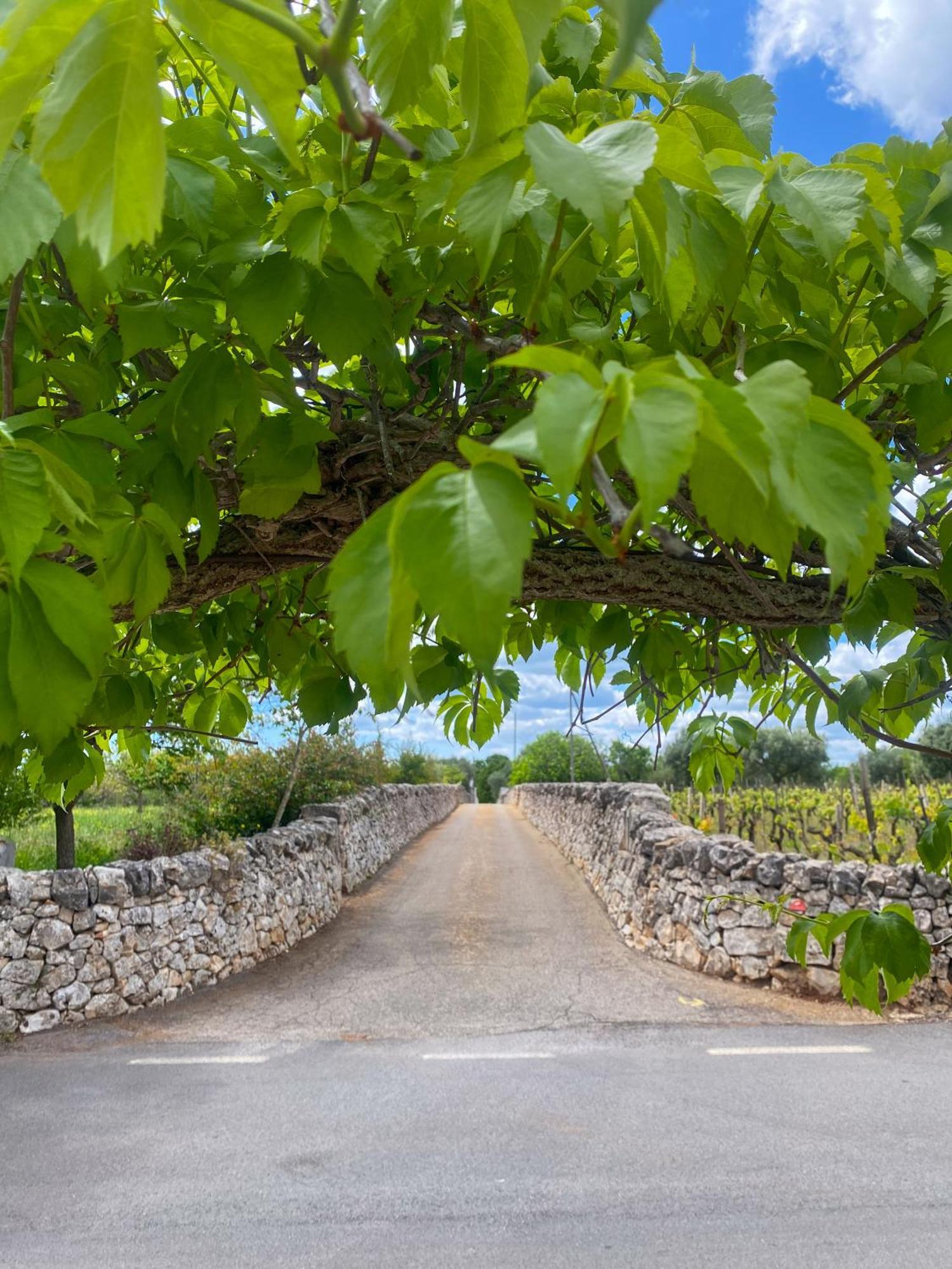 Apartmán Trullo Pinto Locorotondo Exteriér fotografie